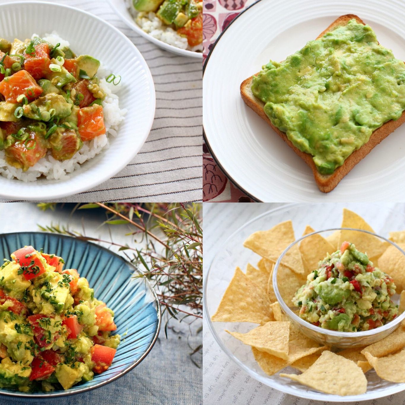 avocado-recipe-collection.jpg