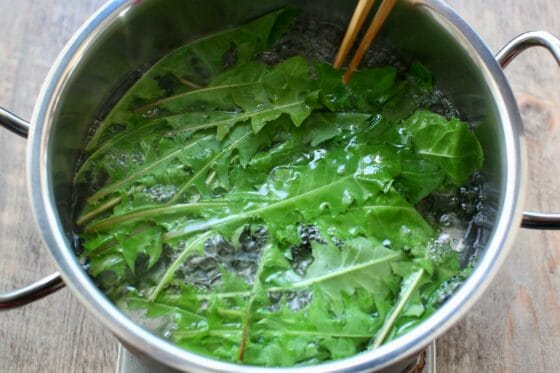 たんぽぽの葉を鍋で茹でる