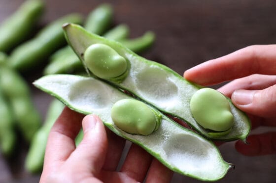 空豆をさやから取り出す