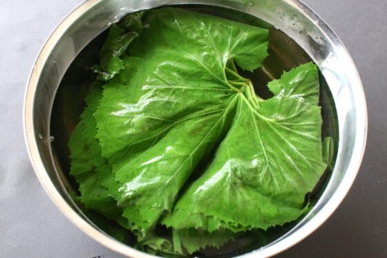 茹でたふきの葉を冷水に取る