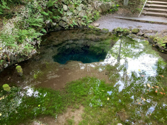 忍野八海 お釜池