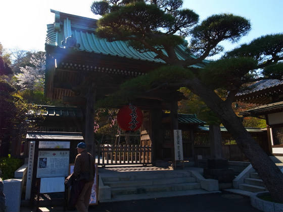 長谷寺