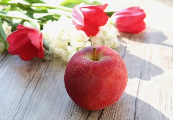 りんごの栄養と健康効果