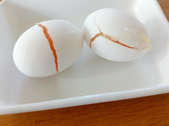 卵の冷凍保存