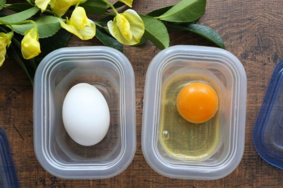 卵のサイズによる違い