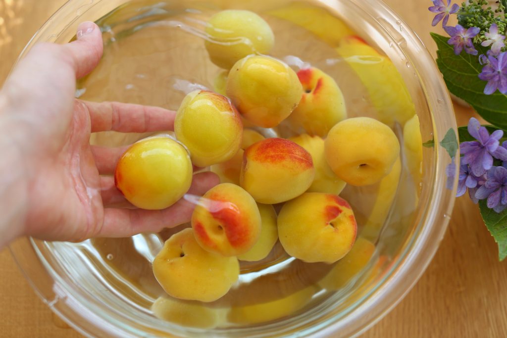 umeboshi-how-to-make-japanese-salt-plums-kumiko-jp