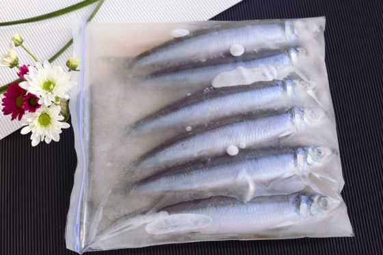 魚を丸ごと冷凍・解凍する方法。いわし・アジ・さんまなどにお薦め。