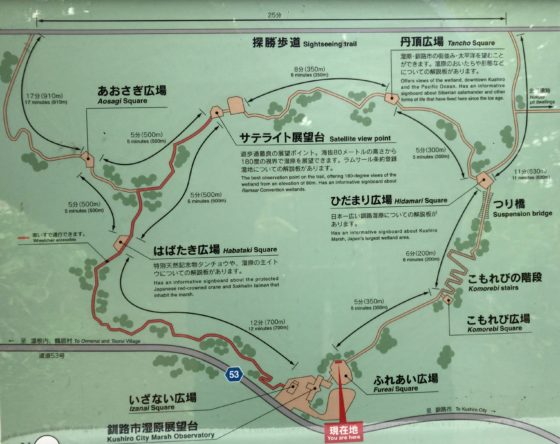 釧路市湿原展望台の遊歩道の地図