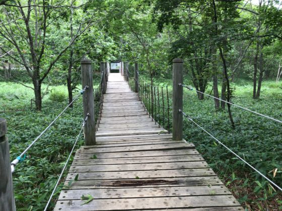 釧路湿原探勝路の吊り橋