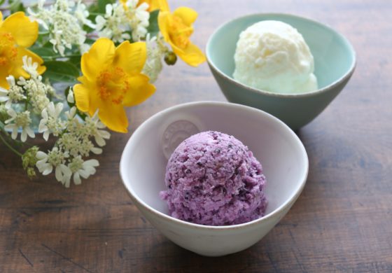 冷凍ブルーベリーとヨーグルトで作るお手軽アイス！超簡単な作り方。