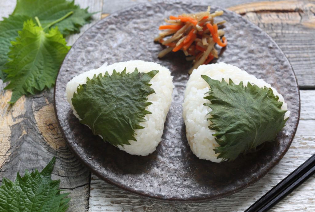 大葉の塩漬けのレシピ おにぎりにもピッタリな大葉の簡単保存食 やまでら くみこ のレシピ