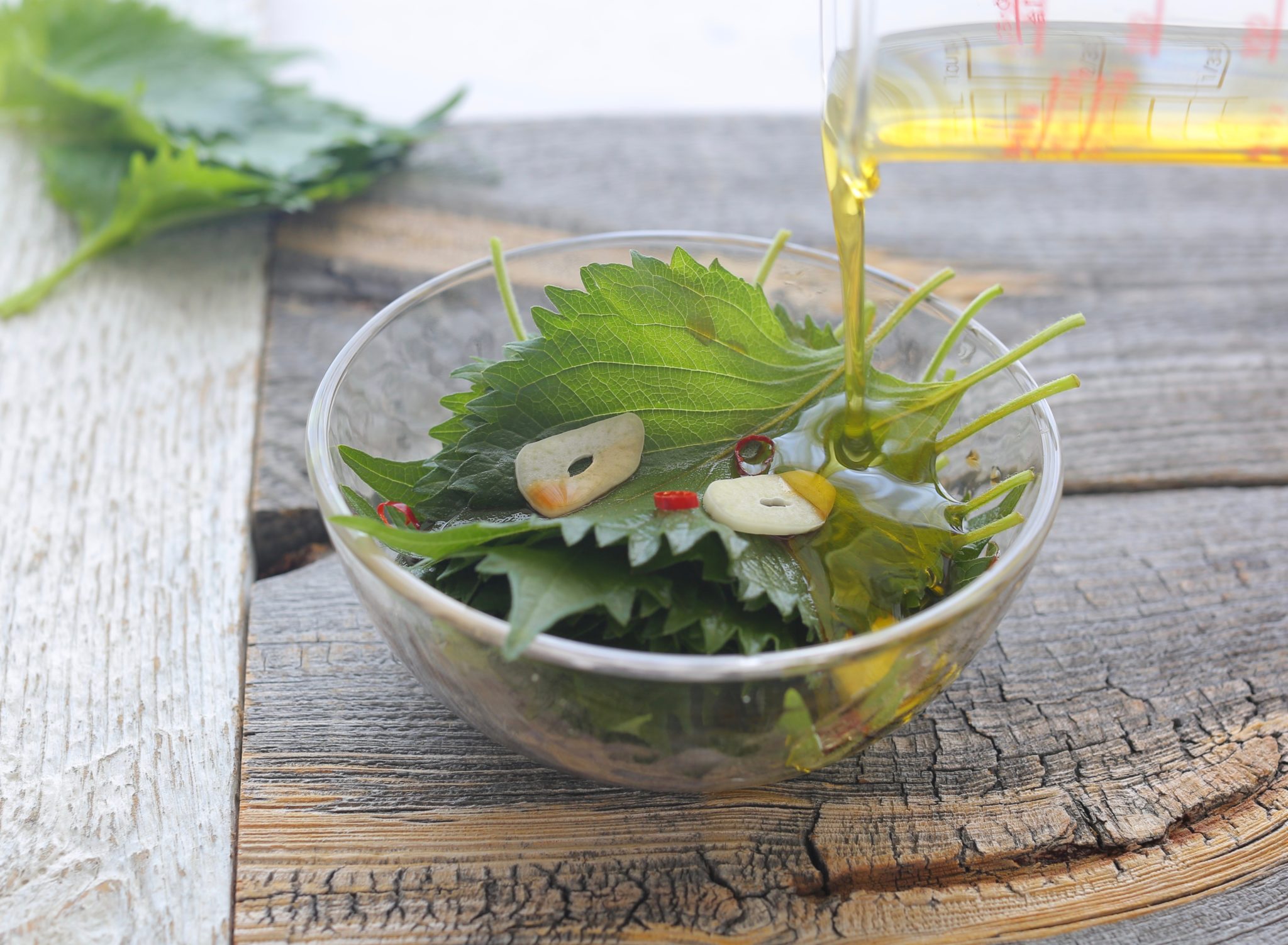 大葉のオリーブオイル漬けのレシピ。にんにく醤油で美味しさアップ！ やまでら くみこ のレシピ