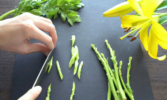 春菊の茎の切り方と食べ方 美味しく食べられるおすすめレシピも紹介 やまでら くみこ のレシピ