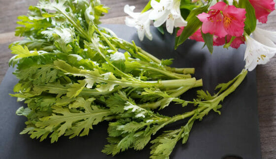 春菊の冷凍保存方法。生のままよりも茹でてからがおすすめ！冷蔵も紹介。