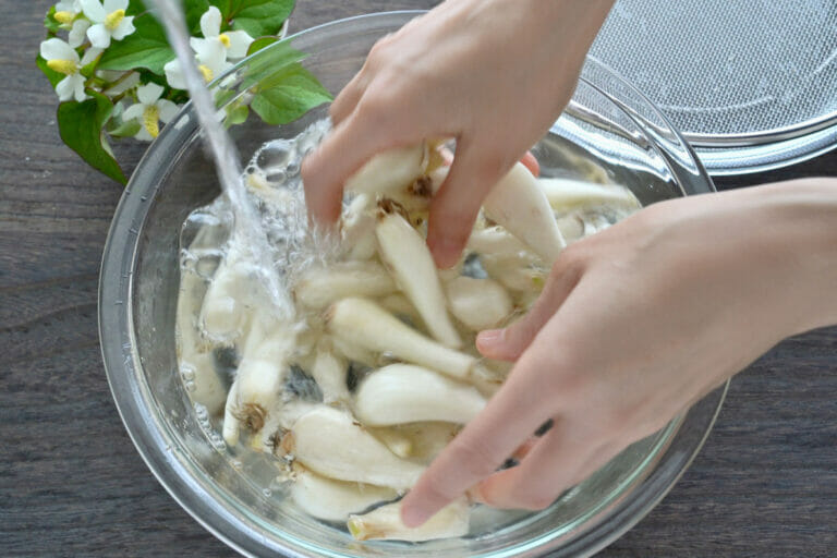 らっきょう漬け(甘酢漬け)の漬け方・作り方。パリパリ旨い! | やまでら くみこ のレシピ