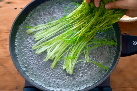 水菜の茎を湯に浸す