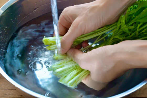 水菜を洗う