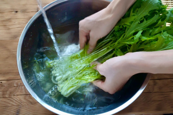 水菜の茎の洗い方