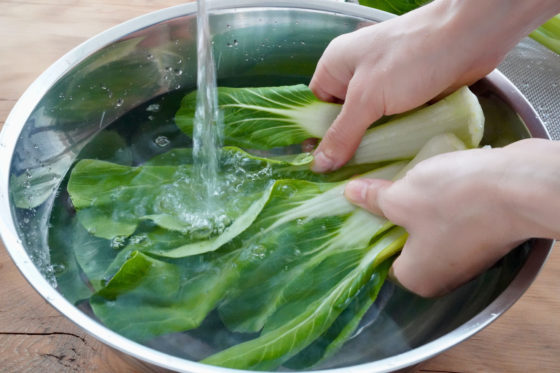 チンゲン菜の洗い方