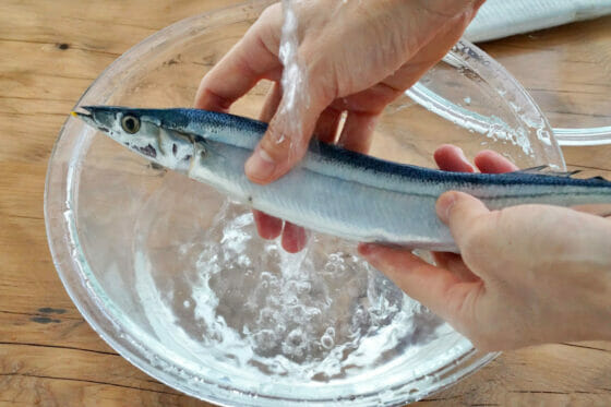 秋刀魚を洗う
