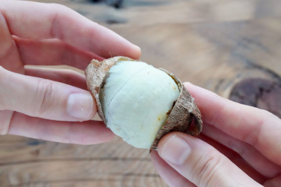 これが一番簡単！里芋の皮むき。レンジや鍋で茹でて剥く方法と基本の剥き方