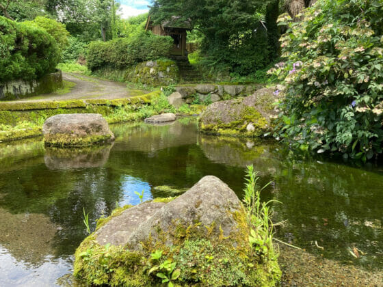 阿蘇の妙見神社の池