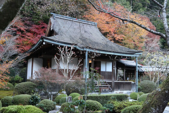 京都大原の寂光院