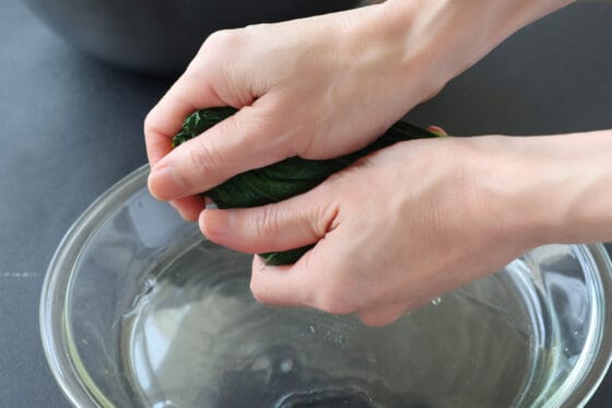 下処理したふきの葉の水気を手で絞る