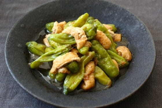 ししとう煮浸しのレシピ｜出汁の優しい風味を楽しむ定番おかず