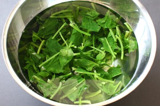 茹でたほうれん草を冷水にさらして色止めする