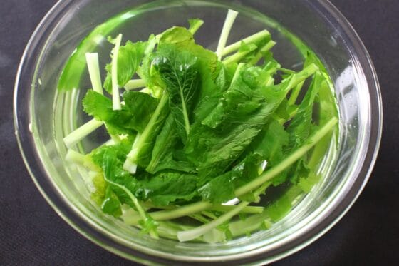 茹でたかぶの葉を冷水にさらす