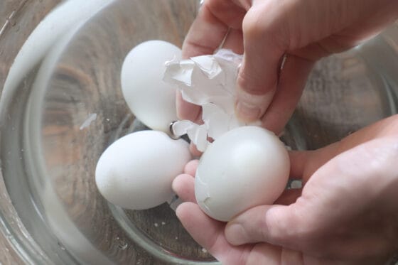 冷水の中で卵の殻を剥く