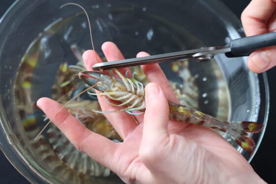 有頭えびのひげを根元から切り落とす