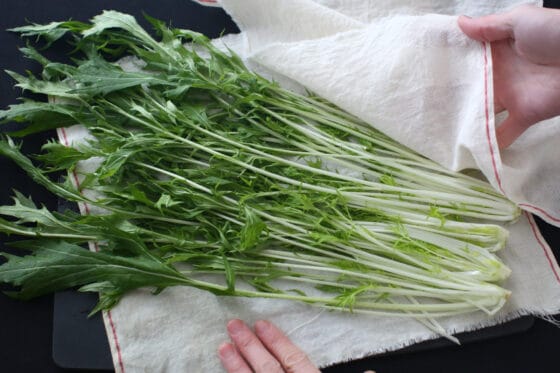 水菜の水気を拭き取る