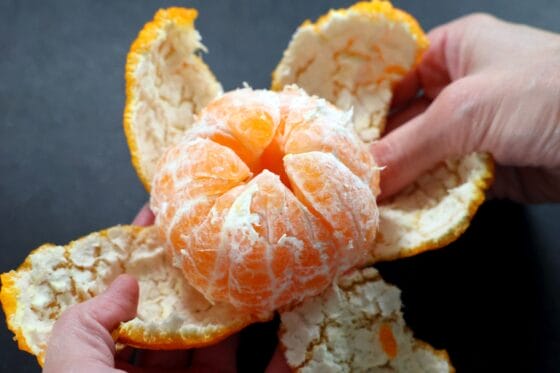 デコポンの厚い皮を手でむいている途中の状態