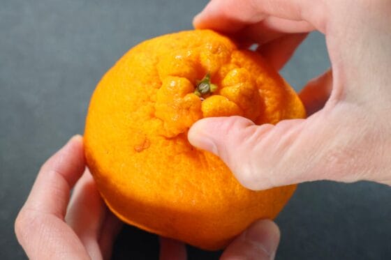 デコポンのヘタ部分から皮に切れ目を入れてむき始める様子