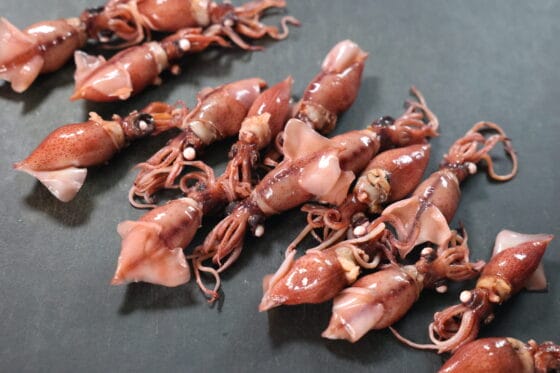 ホタルイカの下処理｜目と口を取るだけでOK！簡単なやり方とコツ