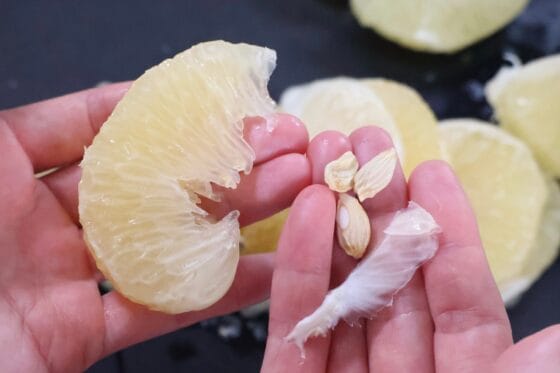 残った薄皮と種を取り除いてきれいな果肉だけにする