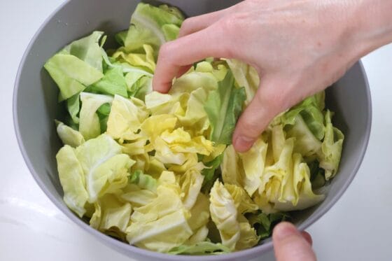 春キャベツに塩をふって軽くもみしんなりさせる