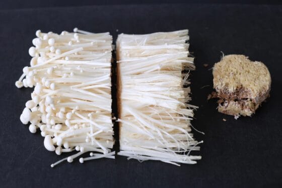 えのきチーズ焼き用にえのきの石づきを落として切る