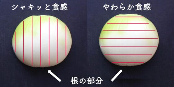 新玉ねぎの切り方の違い(繊維に沿って切る方法と繊維を断って切る方法)