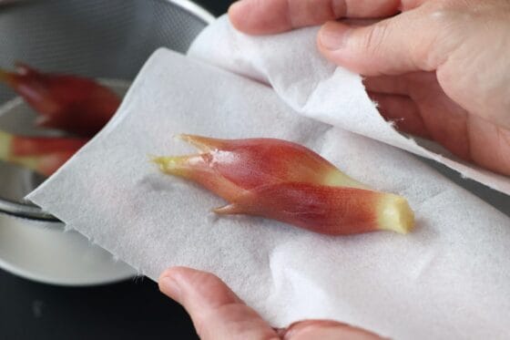 みょうがを洗い、キッチンペーパーで水気をふき取る