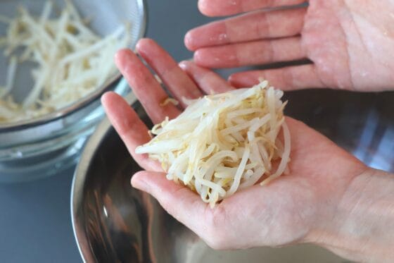 レンジで加熱したもやしを手で軽く絞り、余分な水気を切る