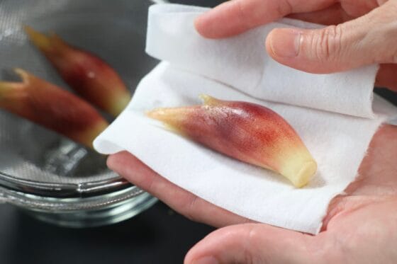 洗ったみょうがをキッチンペーパーで包み、表面の水気をしっかり拭き取る