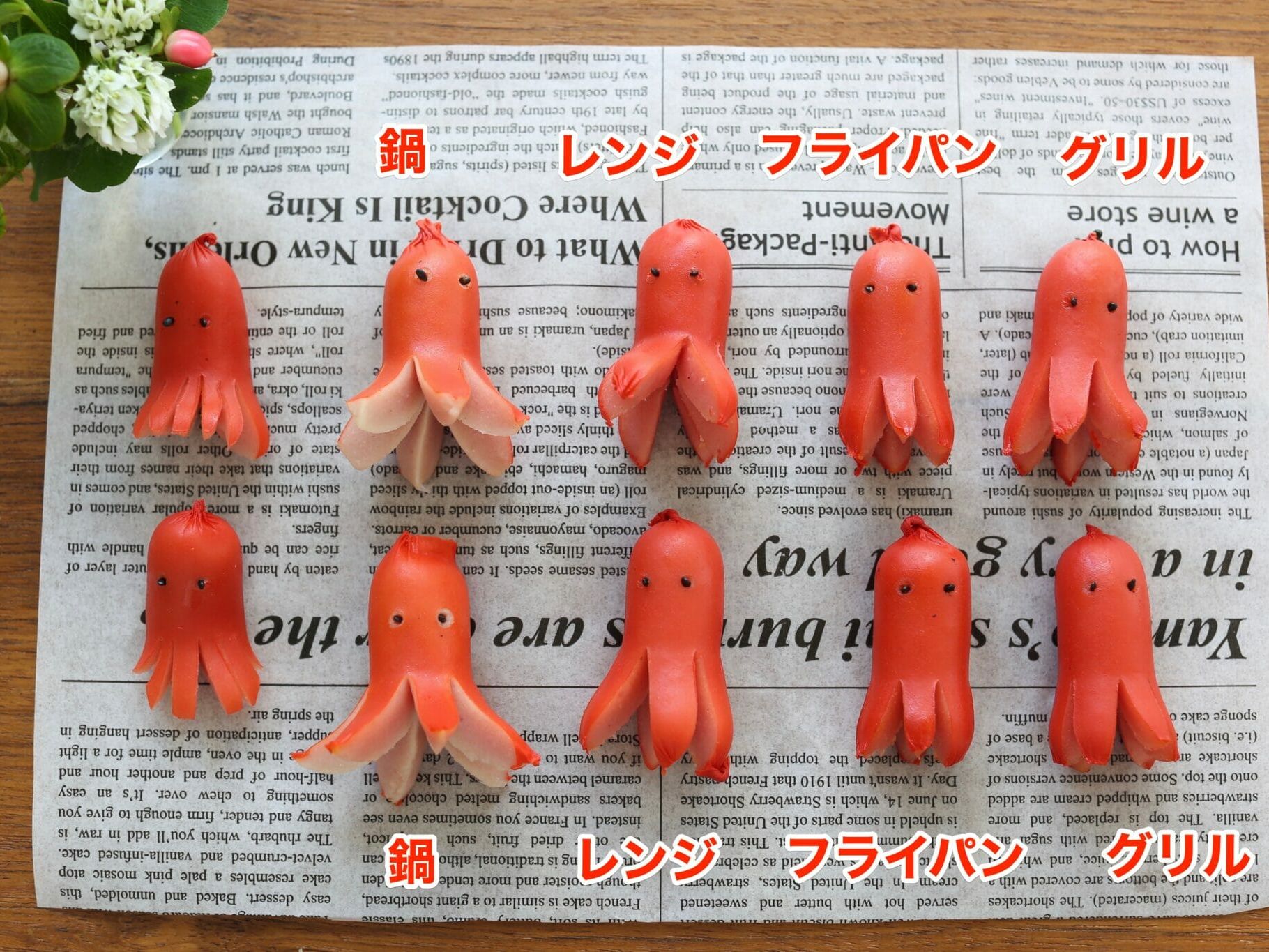 活動歴および当時の関連ビジュアル記録