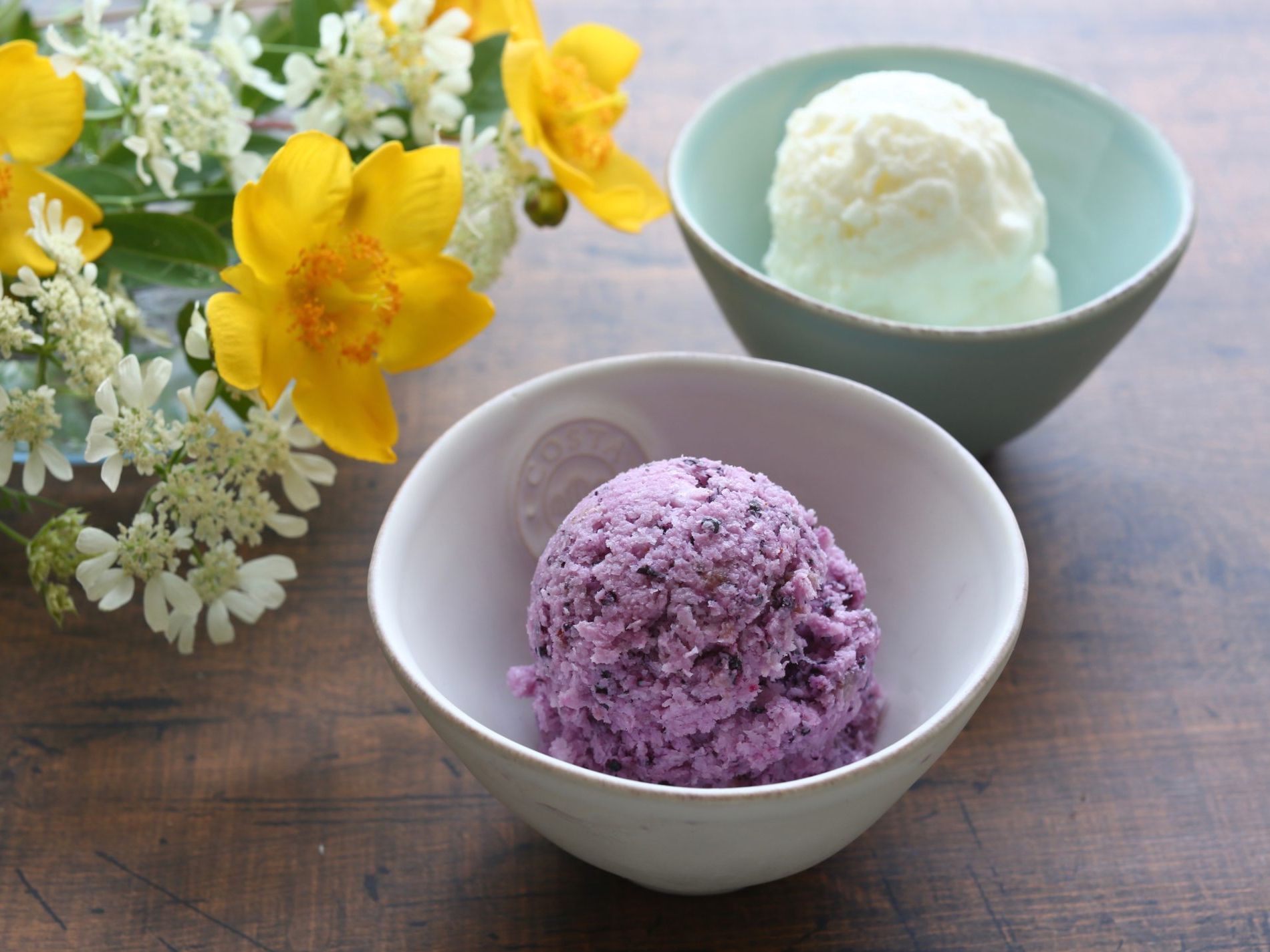 冷凍ブルーベリーとヨーグルトで作るお手軽アイス 超簡単な作り方 やまでら くみこ のレシピ