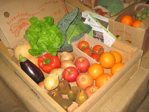 s-vegetable